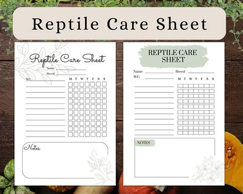 Printable Reptile Care Sheet A4 And A5 Instant Download Snake Health