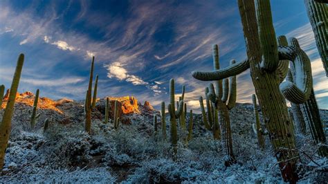 Desert Winter Wallpapers Top Free Desert Winter Backgrounds