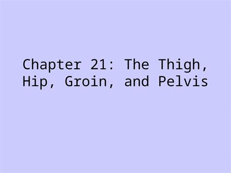 Ppt Chapter The Thigh Hip Groin And Pelvis Anatomy Of The