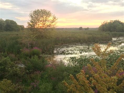 Great River Trail (Illinois) - 2020 All You Need to Know BEFORE You Go ...