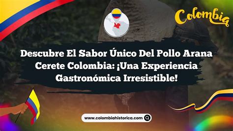 Descubre el Sabor Único del Pollo Arana Cerete Colombia Una