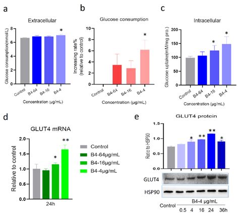 The Glucose Utilization And GLUT4 Expression In L6 Cells A Glucose