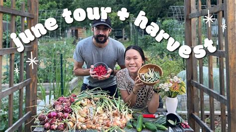 June Garden Tour Harvest Youtube