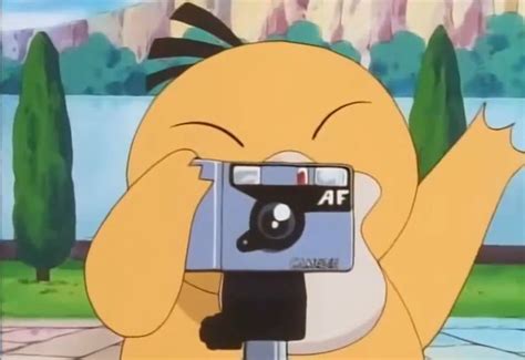 Out Of Context Pokémon Photo Pokemon Pictures Pokemon Art Cute Pokemon