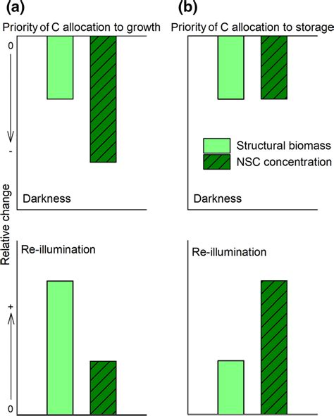 Alternative Responses Of Non Structural Carbohydrate Nsc