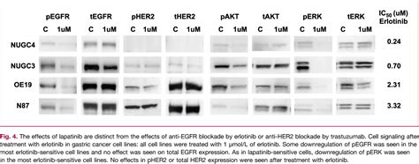 Figure 4 From Lapatinib A Dual EGFR And HER2 Kinase Inhibitor