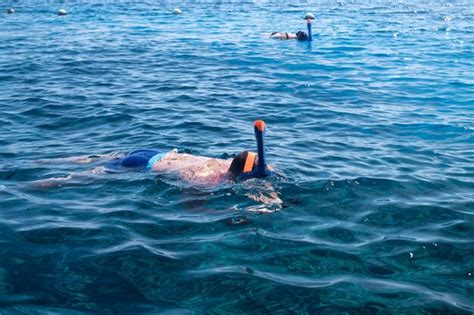 Premium Photo Tourists Go Freediving While Cruising The Bay Sea