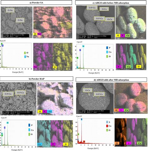 Scanning Electron Microscopy Sem Images And Eds Mapping For A Neat