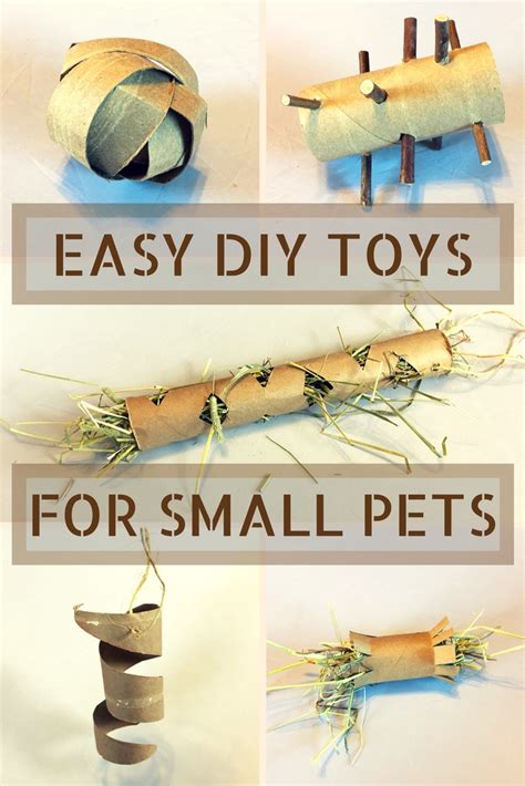 Diy Guinea Pig Toys Home Alqu