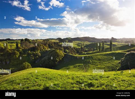 New Zealand Countryside Scenery Waitomo Area Stock Photo Alamy
