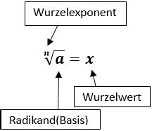 Wurzeln