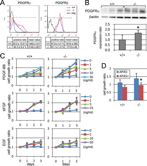 Pdgfr Expression Is Enhanced In Phf Null Mefs A Expression Of Pdgfr