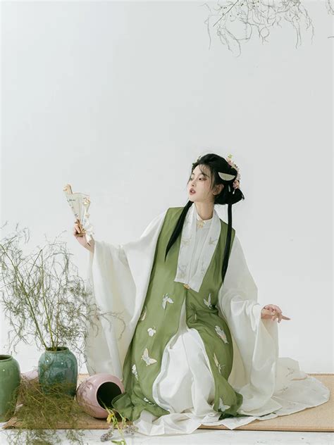 Fall Ming Dynasty Hanfu Long Aoqun Costume For Women Newhanfu