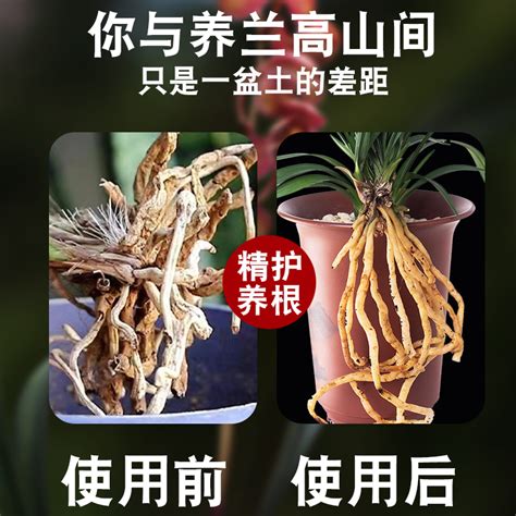 兰花专用土植料营养土蝴蝶兰君子兰科植物专用颗粒土松树皮兰科土虎窝淘