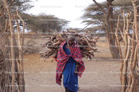 Woman Labor Firewood Deforestation Tanzania Photo