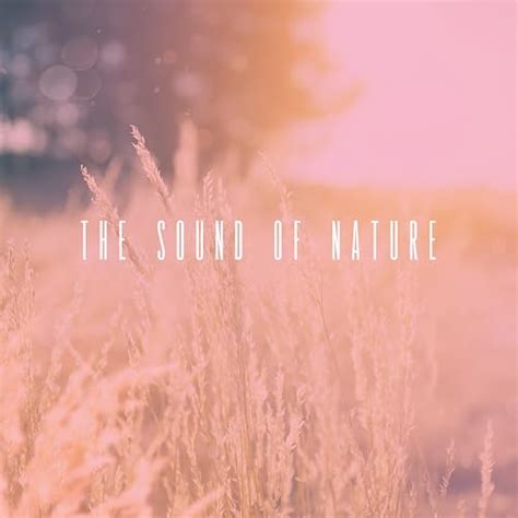 Play The Sound Of Nature By Rain Healing Sounds For Deep Sleep And