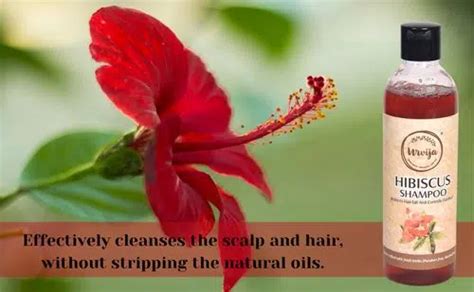 Hibiscus Shampoo Ayurvedic Herbal Shampoo For Hair Fall Urvija