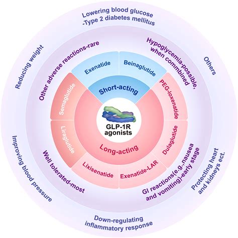 Frontiers Glp Receptor Agonists For The Treatment Of Obesity Role