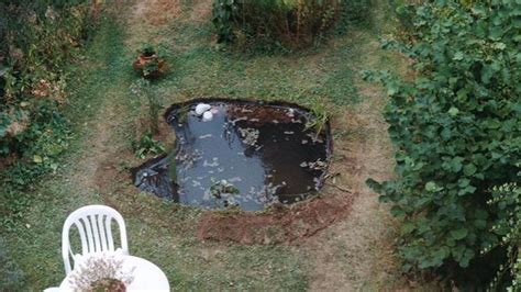 Une Mare Naturelle Au Jardin Comment Faire Rtbf Actus