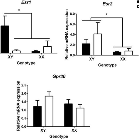 Sex Chromosome Complement Determines The Mrna Expression Of Erα And Erβ