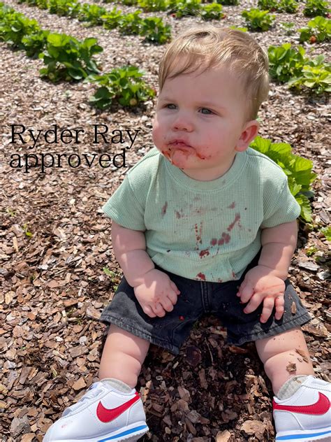 U-Pick Strawberries!!!🍓🫐 🤍 | Gallery posted by mckenna | Lemon8