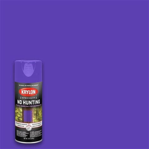 Krylon Gloss Purple Spray Paint Actual Net Contents 12 Oz At Lowes