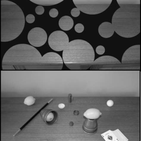 Vanishing Ball Illusion Figure Reproduced From Kuhn 2019