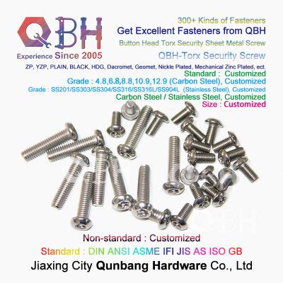 Qbh Customized OEM ODM SS304 SS316 Stainless Steel Button Head Torx