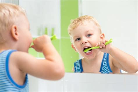 Igiene Orale Nei Bambini Tutto Quello Che C Da Sapere Dentista