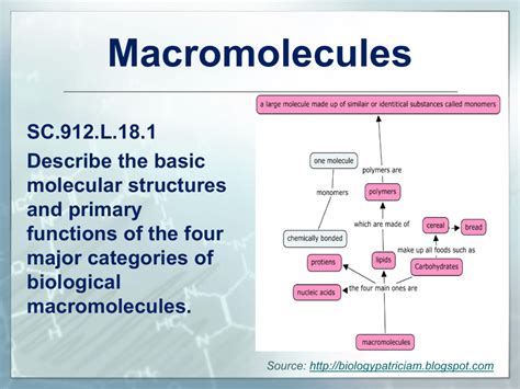 L Macromolecules