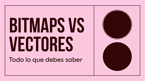 🖼️ Mapas De Bits E ImÁgenes Vectoriales Conoce Bien Las Diferencias