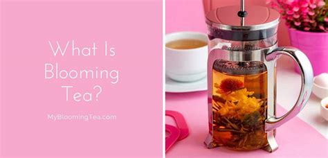 Health Benefits Of Blooming Tea Flowering Tea