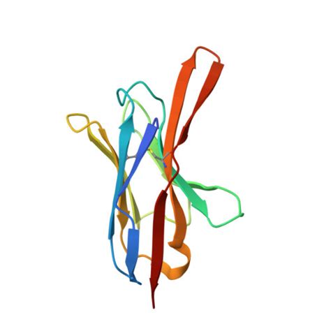 Rcsb Pdb Fzd Structure Of Ompa Long In Complex With Nanobody Nb