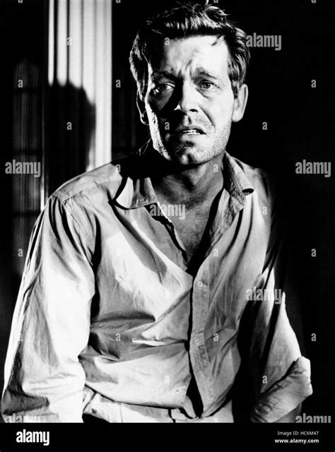 The Third Secret Stephen Boyd 1964 ©20th Century Fox Tm And Copyright