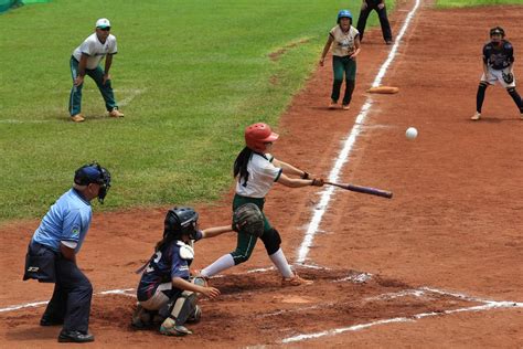 Softball Stick Bat