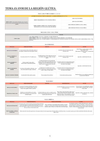 Tema Snm De La Region Glutea Pdf