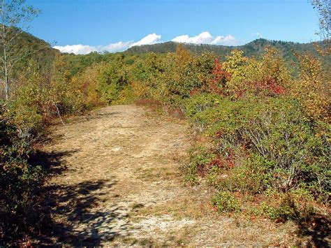 Hiking In Pinnacle Park Sylva North Carolina