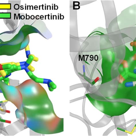 Structures Of Representative Fourth Generation Allosteric EGFR TKIs A