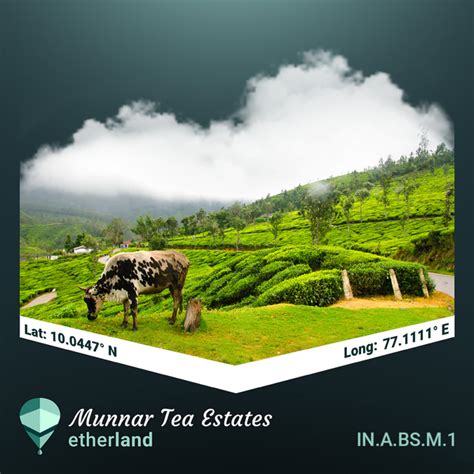 Munnar Tea Estates - Estatepedia