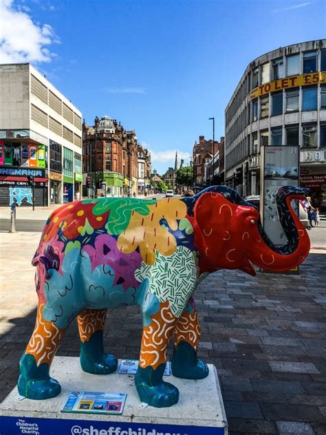 Herd Of Sheffield And Repeat Graham Hogg Geograph Britain And