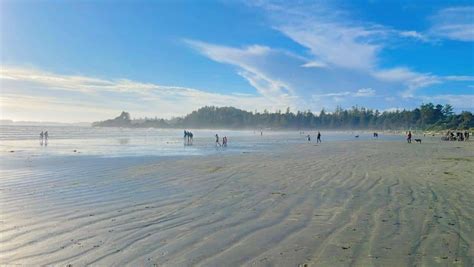 8 Best Tofino Beaches To Explore And Enjoy In 2024