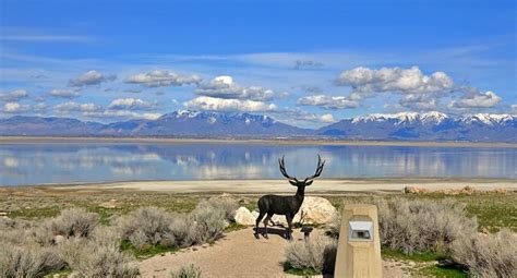 Visit to Antelope Island State Park in the Great Salt Lake, Utah