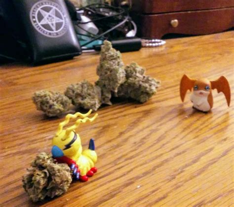 Kunemon Is Off With Patamon S Weed R Digimon