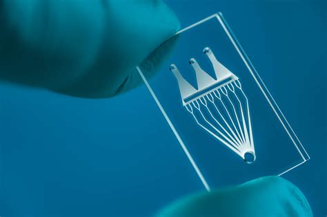 Microfluidics For Point Of Care Workshop Of Photonics Wop