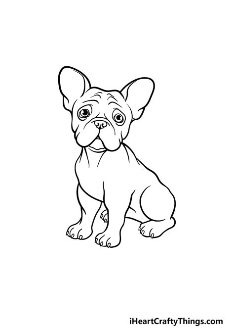 French Bulldog Drawing How To Draw A French Bulldog Step By Step