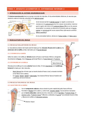 Tema Aparato Locomotor Iii Pdf