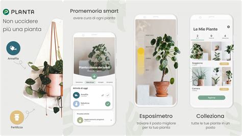 Planta è l app per avere il pollice verde la cura delle piante alla