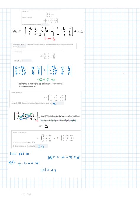 Ejercicios De Determinates EPN Resueltos Algebra Lineal Nueva