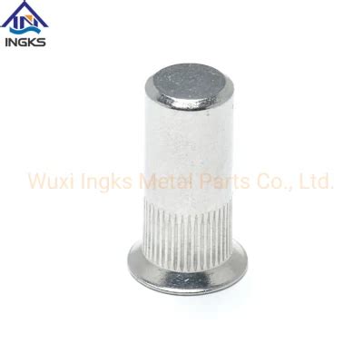 Stainless Steel 304 Csk Head Knurled Body Rivet Nut China Nut Rivets