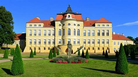 Asystent w Muzeum Pałacu w Rogalinie MuzeOn